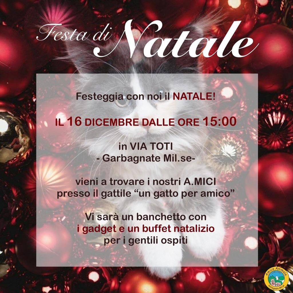 FESTA DI NATALE 2023