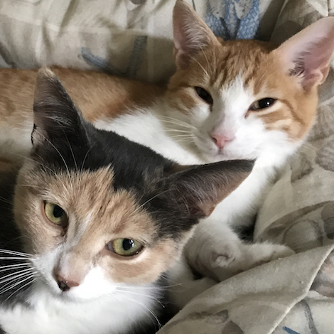 SISSI & PABLO