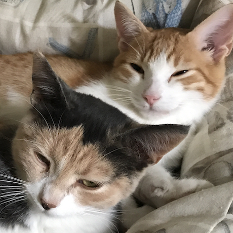 SISSI & PABLO