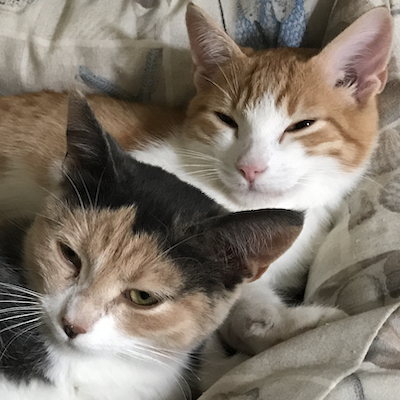 SISSI & PABLO